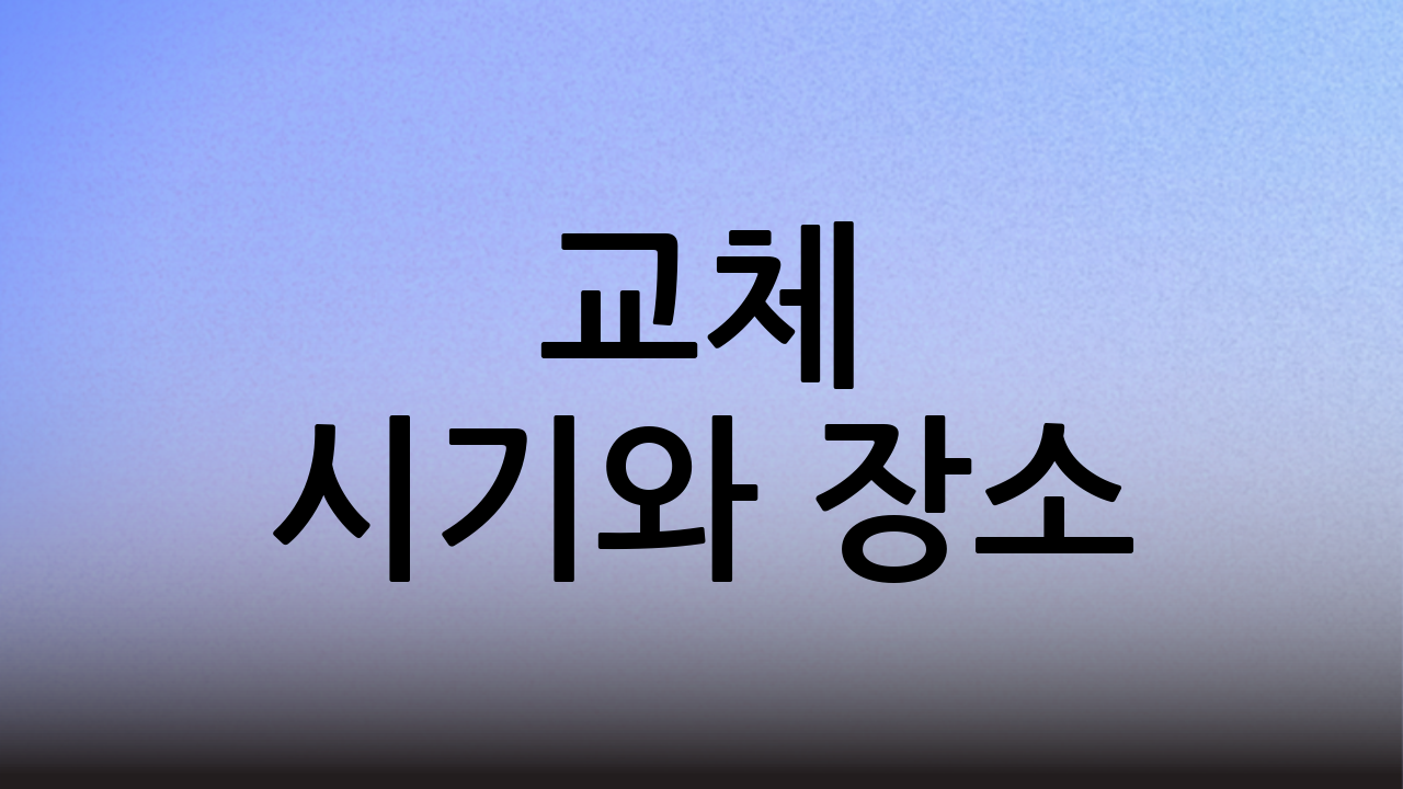 교체 시기와 장소