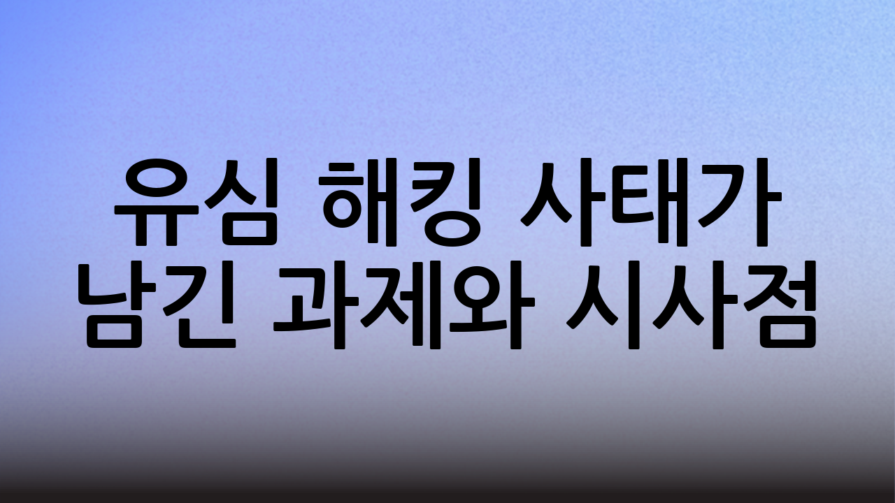 유심 해킹 사태가 남긴 과제와 시사점