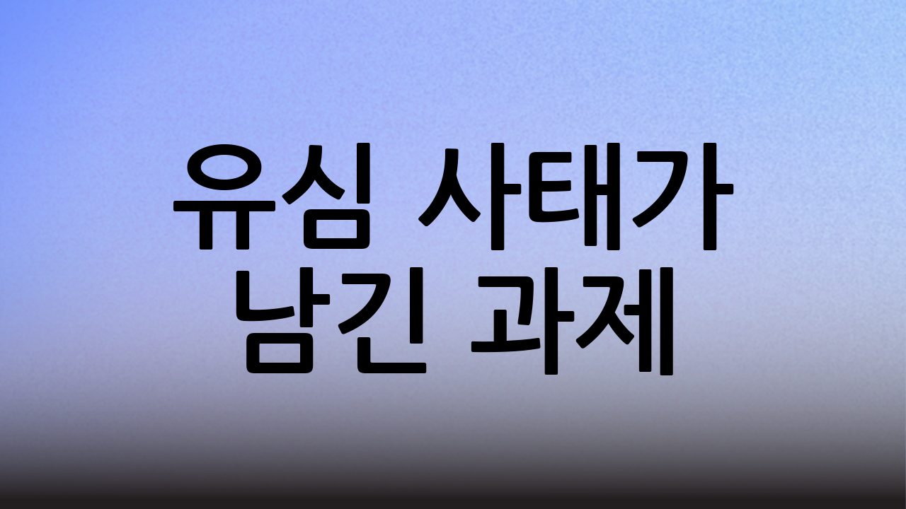 유심 사태가 남긴 과제