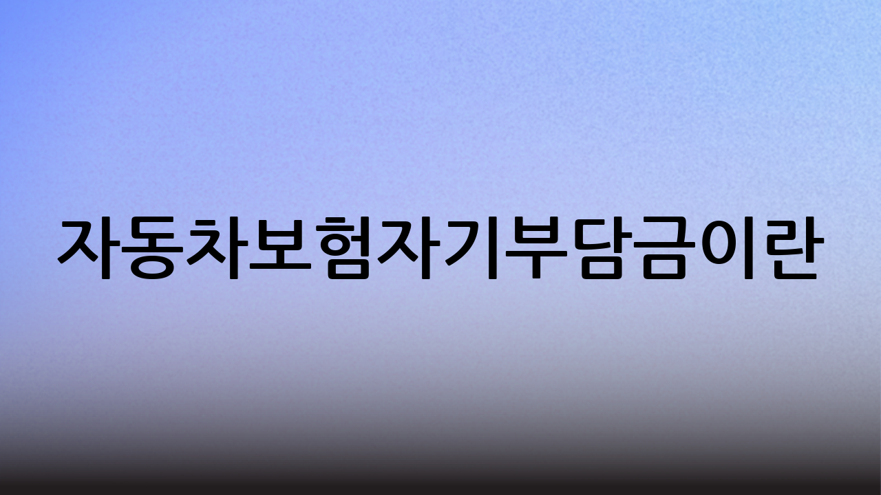 자동차보험자기부담금이란?