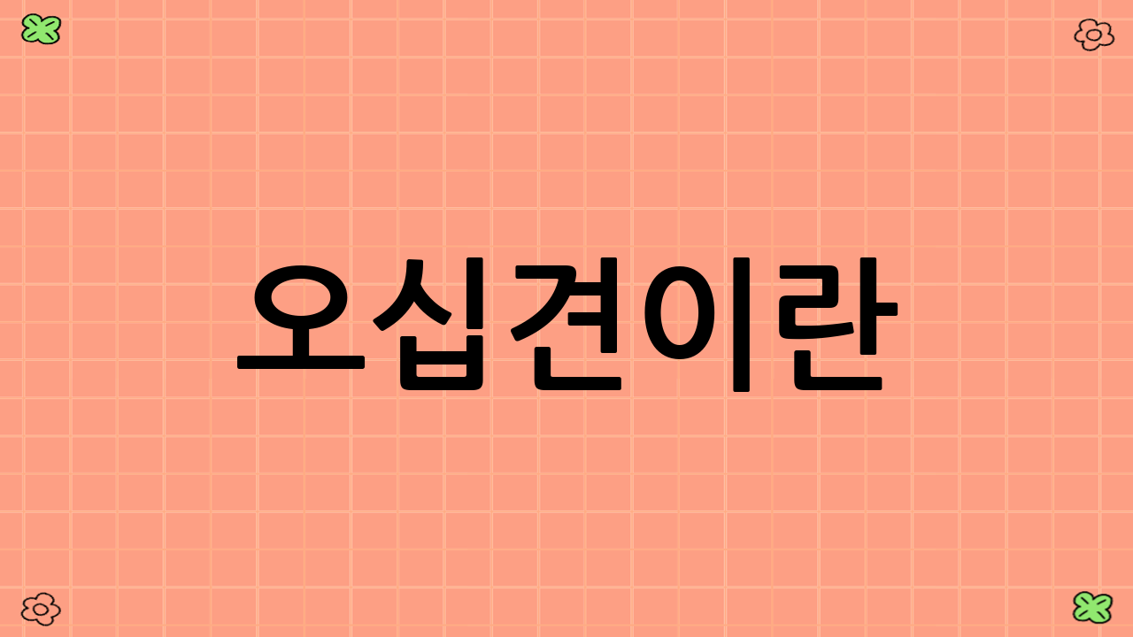 오십견이란?