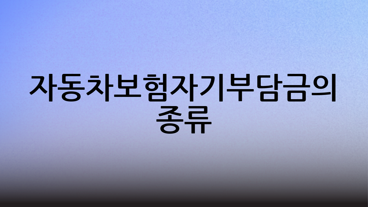 자동차보험자기부담금의 종류