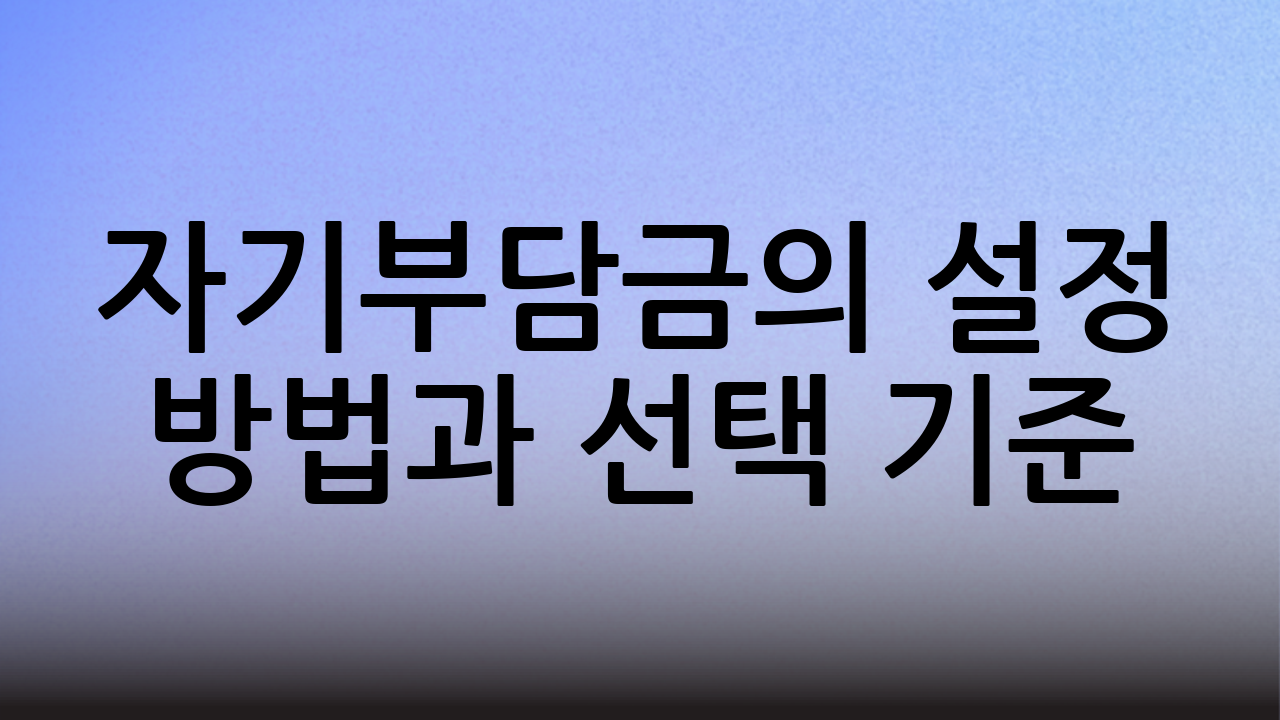 자기부담금의 설정 방법과 선택 기준