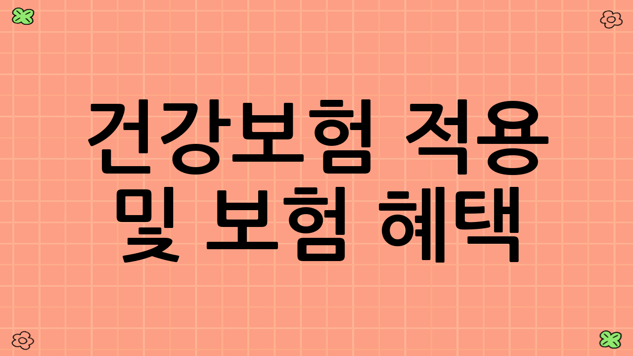 건강보험 적용 및 보험 혜택