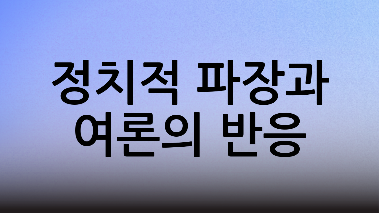 정치적 파장과 여론의 반응