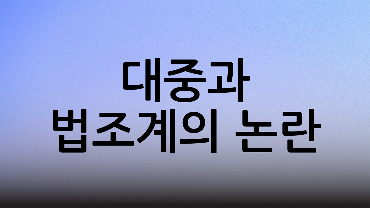 대중과 법조계의 논란