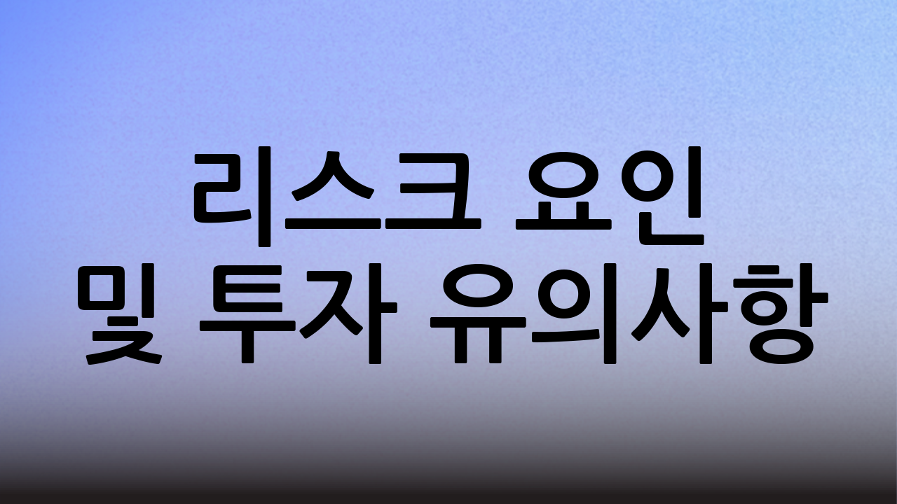 리스크 요인 및 투자 유의사항