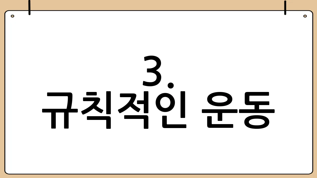 3. 규칙적인 운동