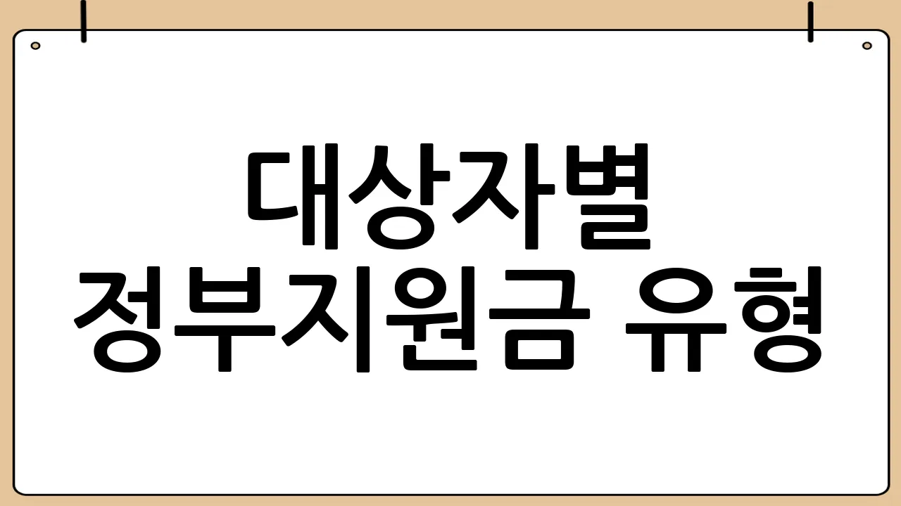 대상자별 정부지원금 유형