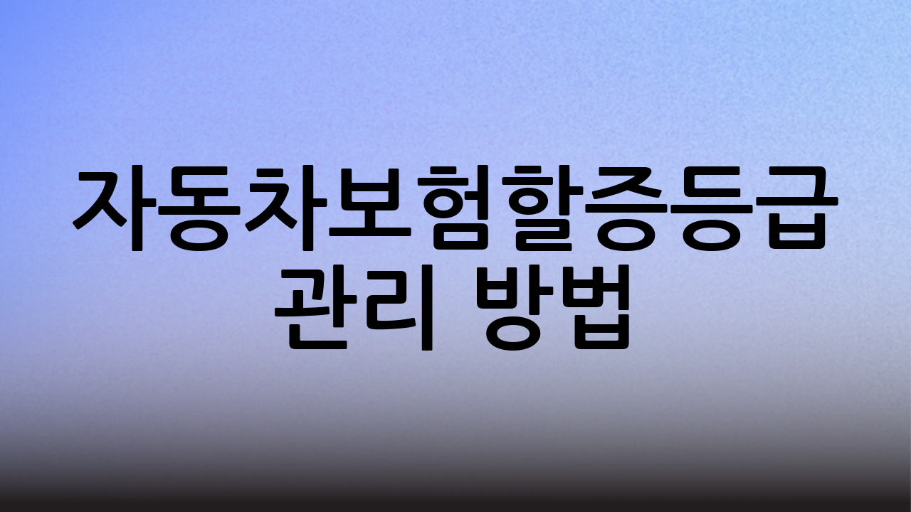 자동차보험할증등급 관리 방법