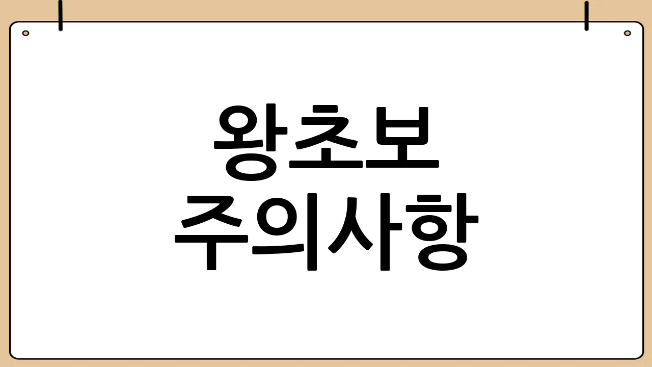 왕초보 주의사항