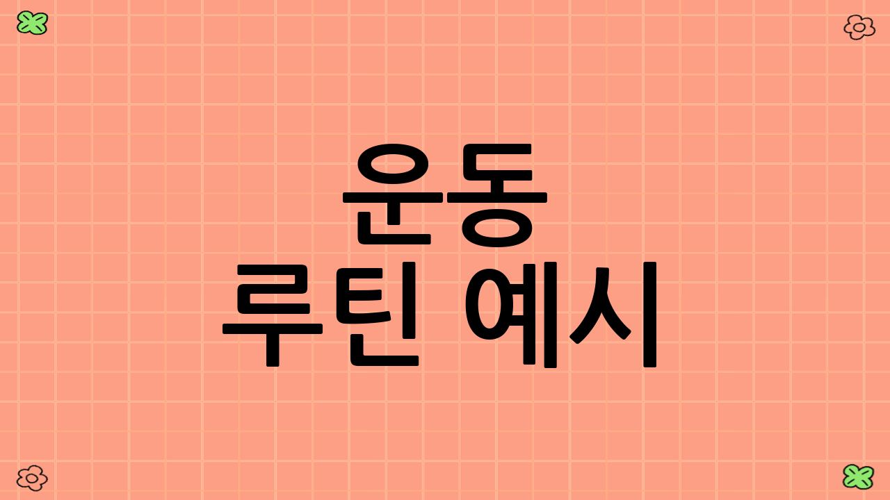 운동 루틴 예시