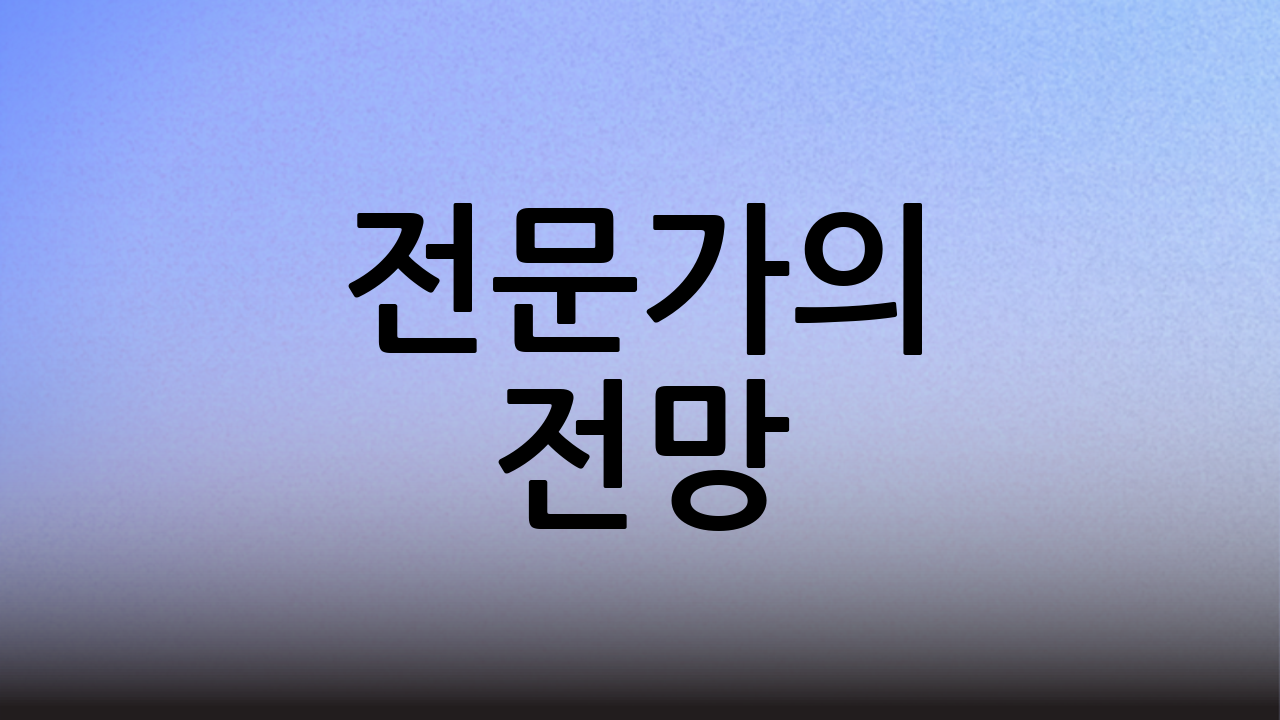 전문가의 전망