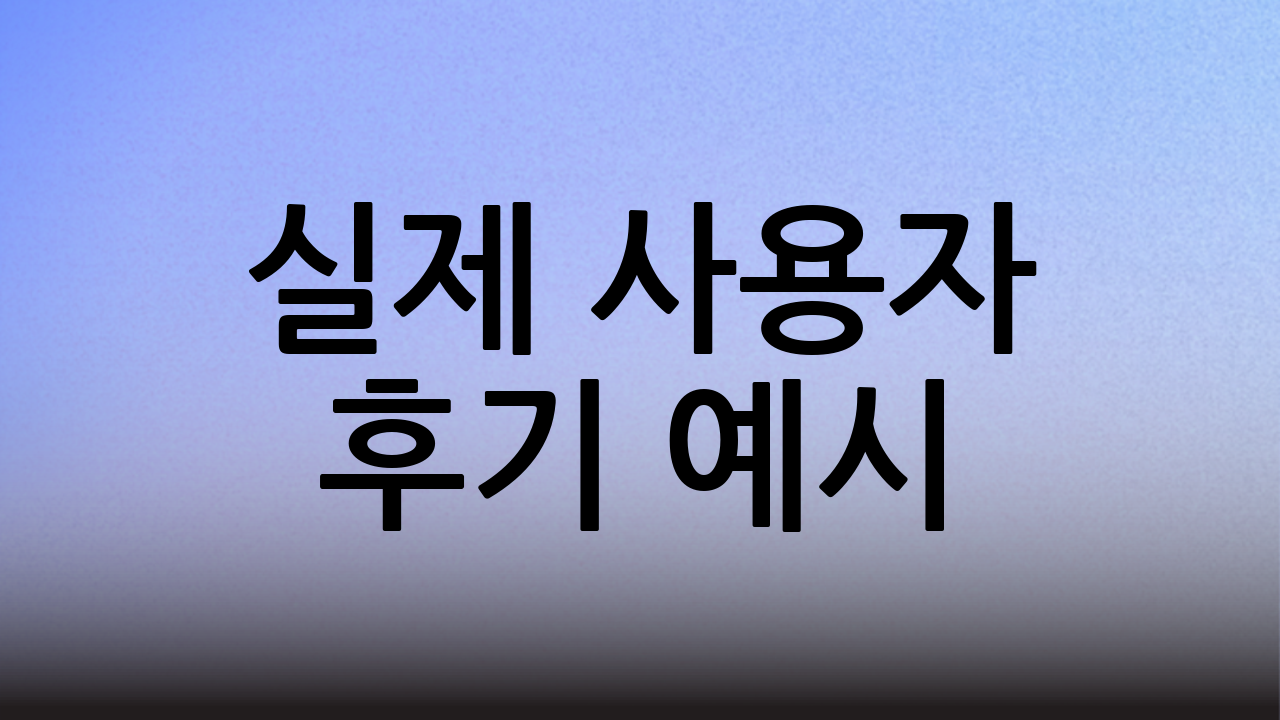 실제 사용자 후기 예시