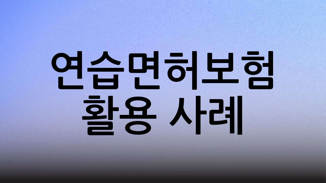 연습면허보험 활용 사례