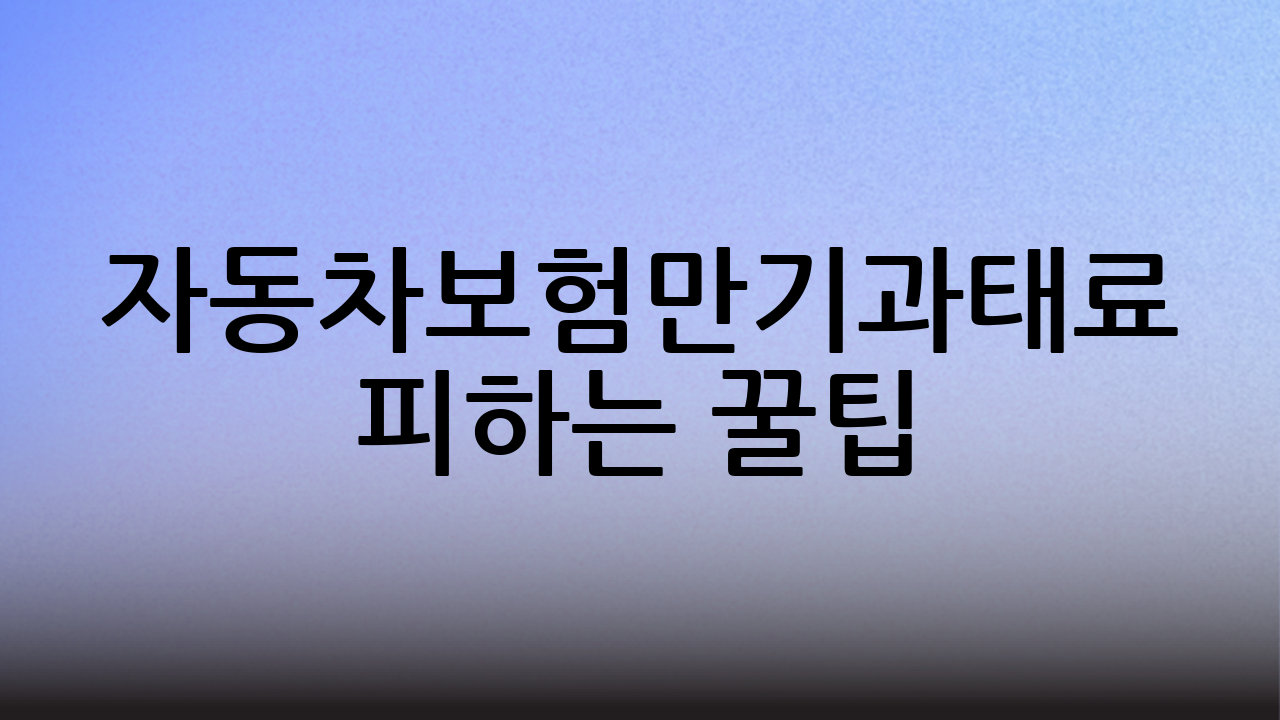 자동차보험만기과태료 피하는 꿀팁