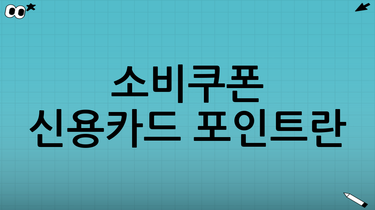 소비쿠폰 신용카드 포인트란?