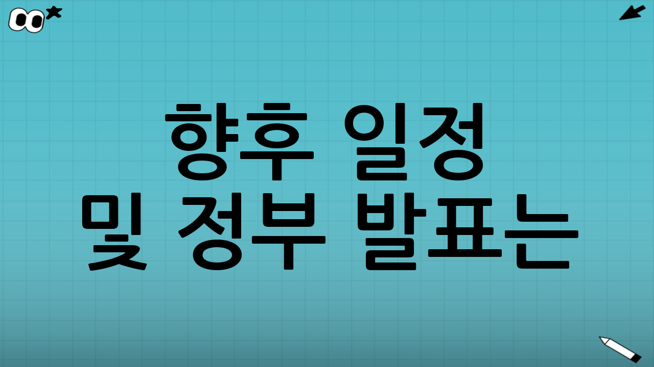 🔮 향후 일정 및 정부 발표는?