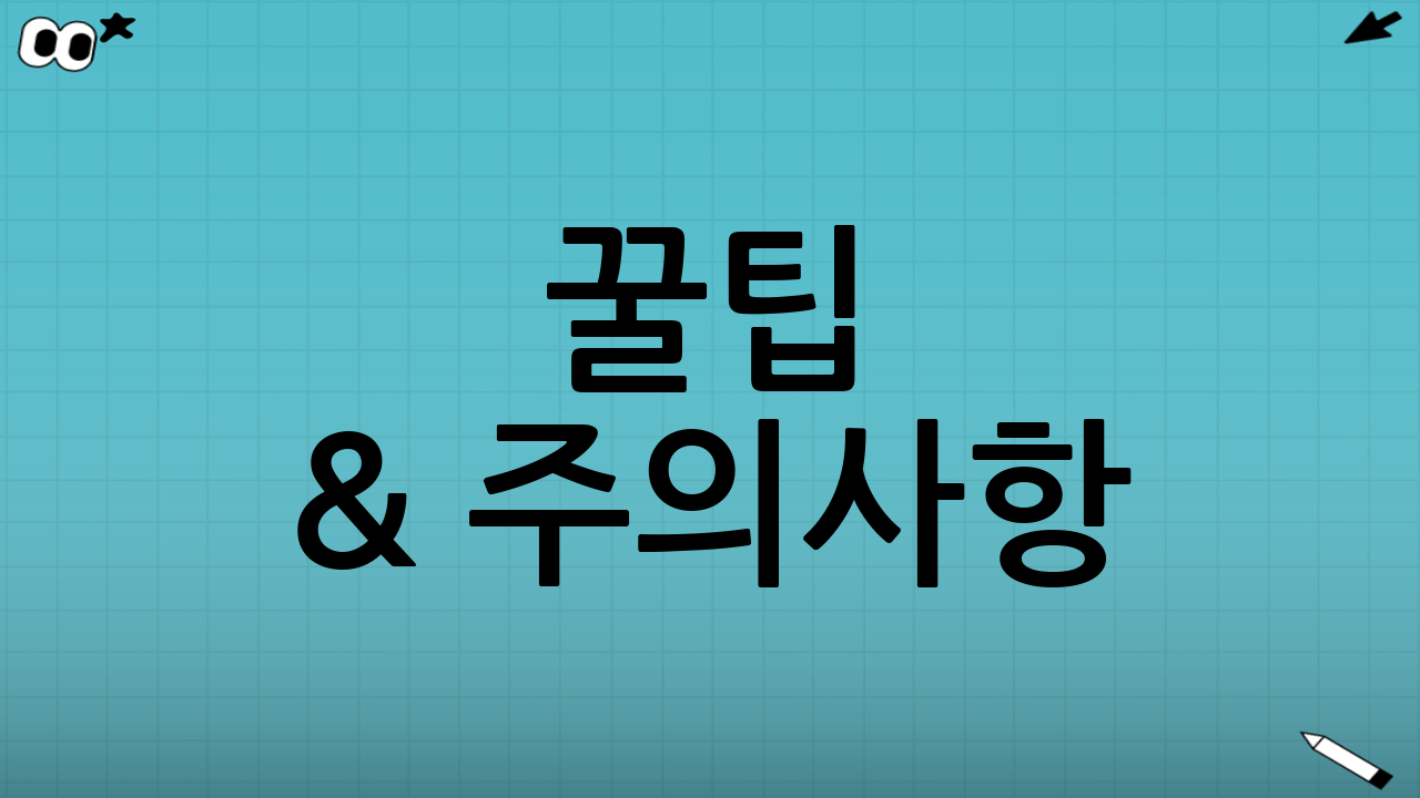 ⚠️ 꿀팁 & 주의사항: 이건 꼭 체크!