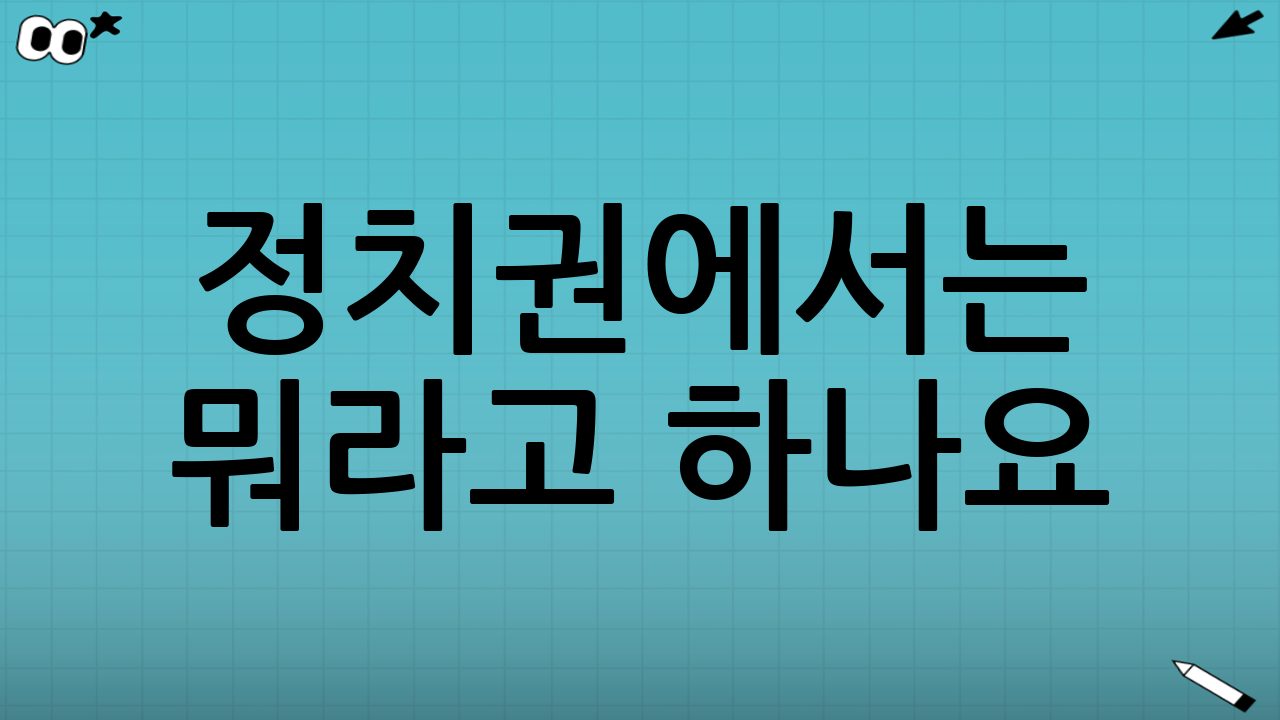 정치권에서는 뭐라고 하나요?