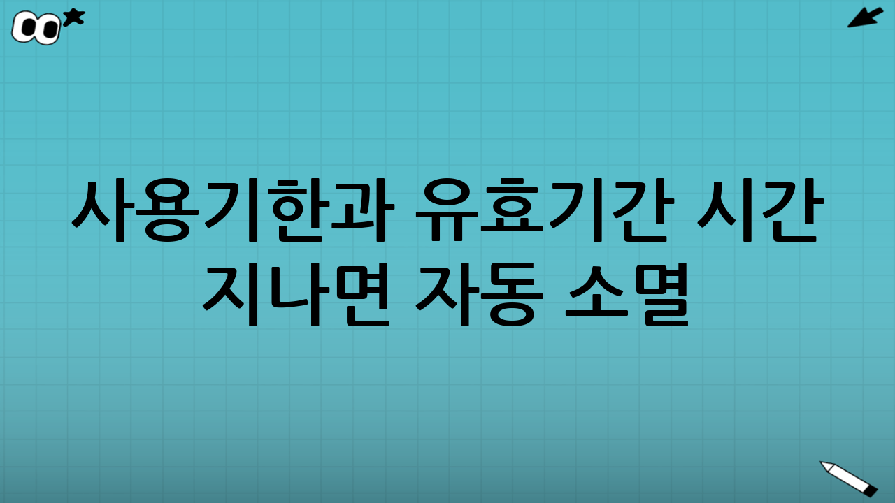 사용기한과 유효기간 - 시간 지나면 자동 소멸!