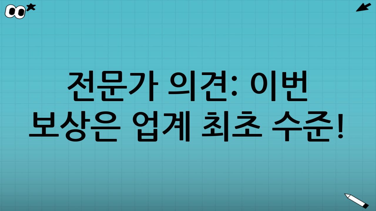 👨‍🏫 전문가 의견: 이번 보상은 업계 최초 수준!?