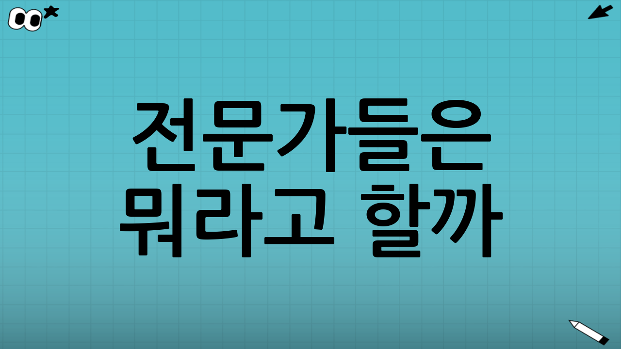 전문가들은 뭐라고 할까?