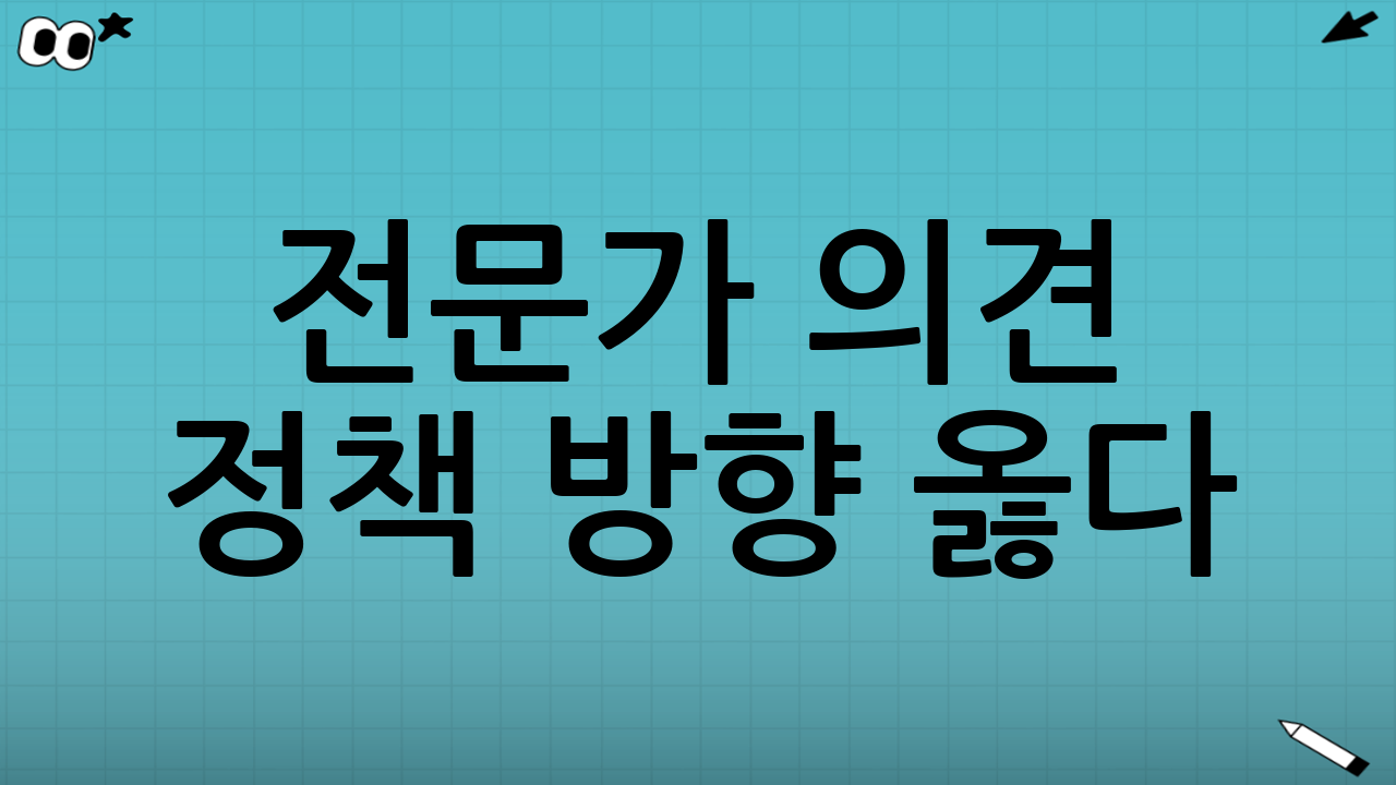 전문가 의견 “정책 방향 옳다”