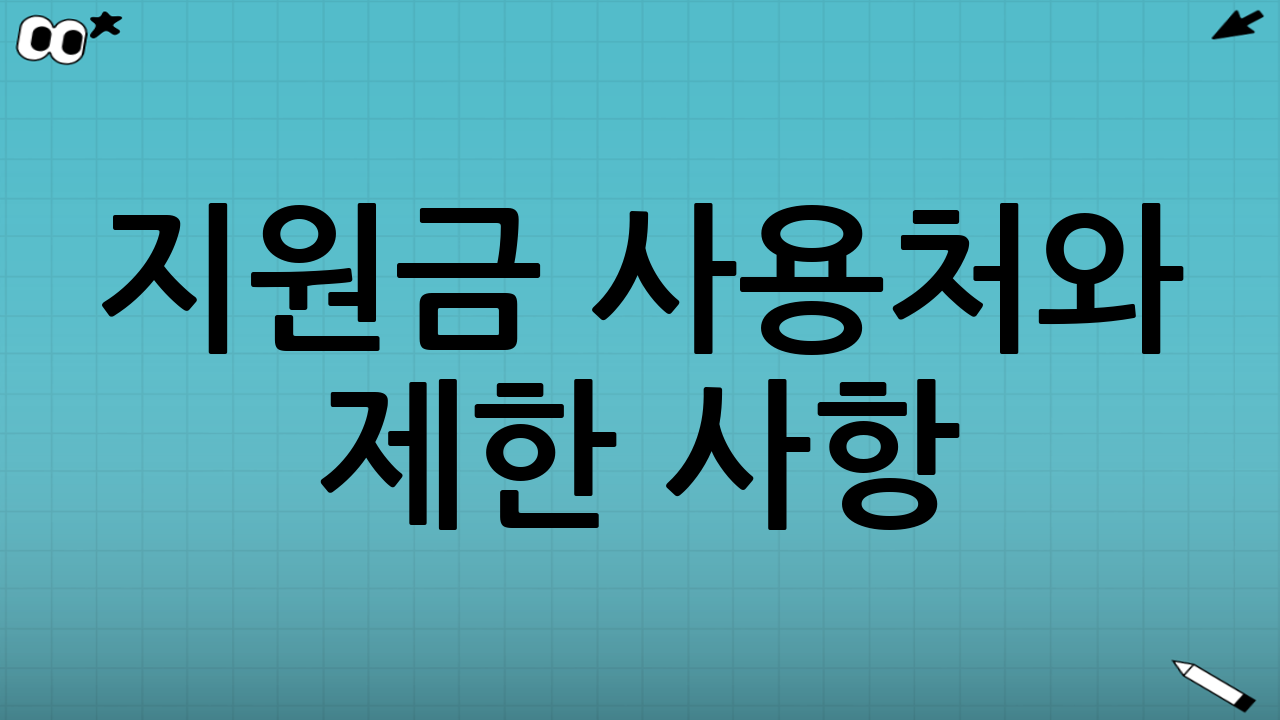 지원금 사용처와 제한 사항