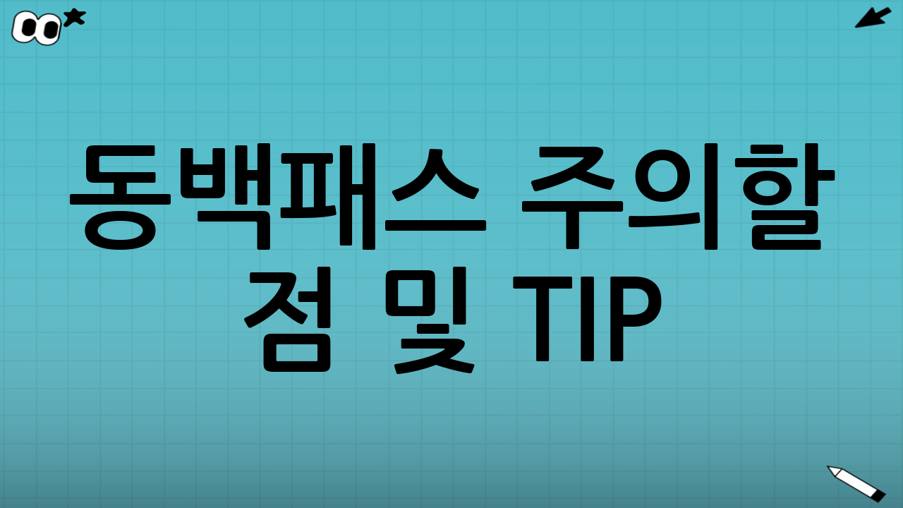 동백패스 주의할 점 및 TIP