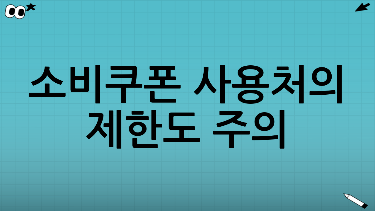 소비쿠폰 사용처의 제한도 주의