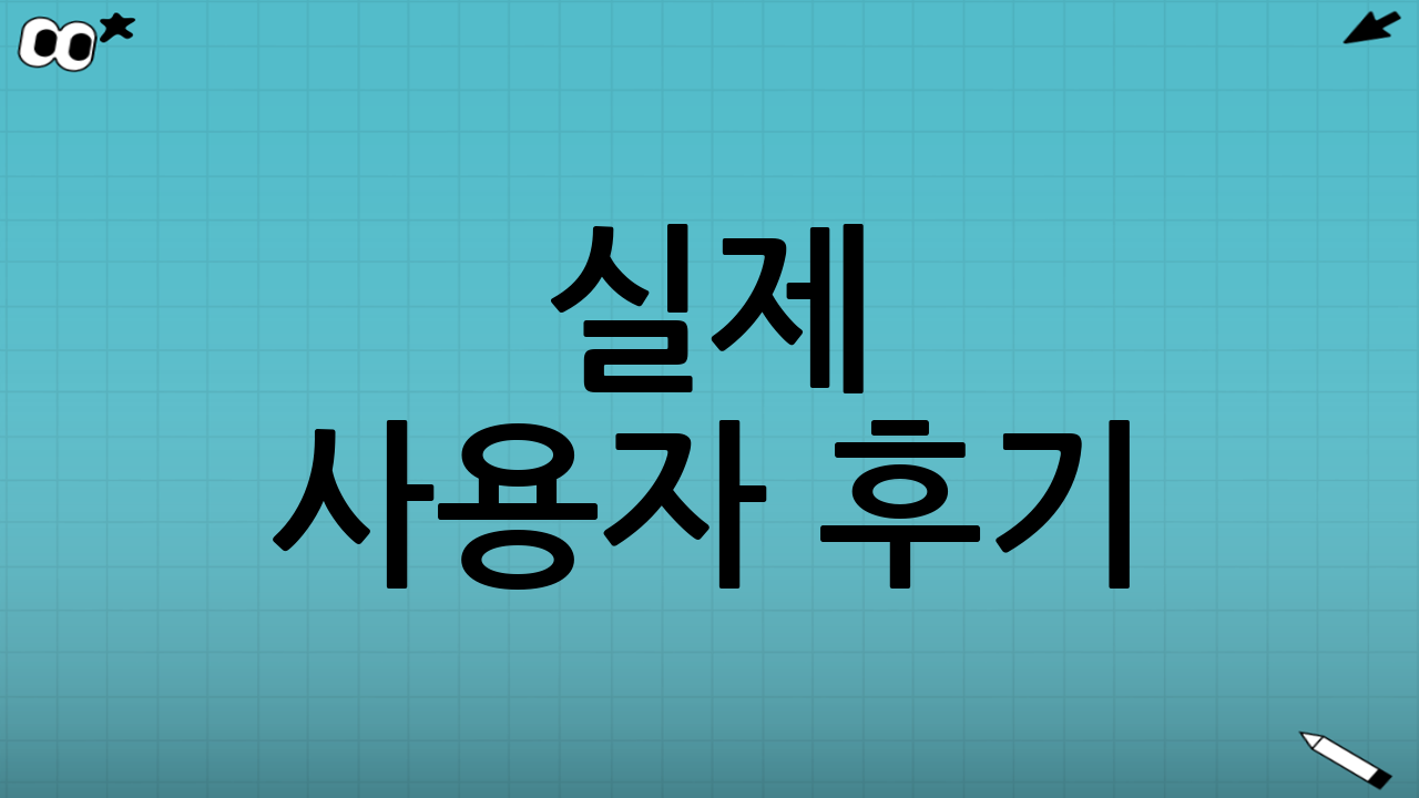 실제 사용자 후기