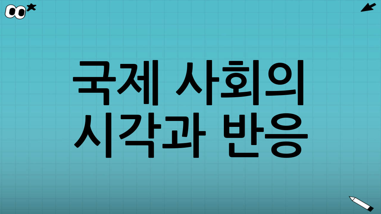 국제 사회의 시각과 반응