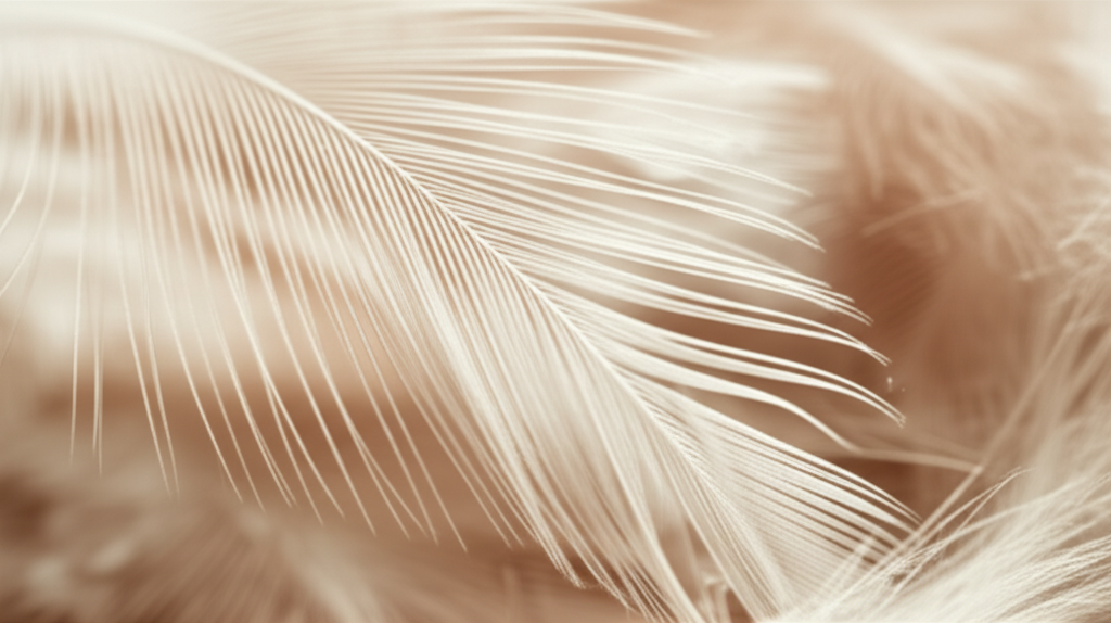 보온성과 활용도, 정말 따뜻할까? 🪶