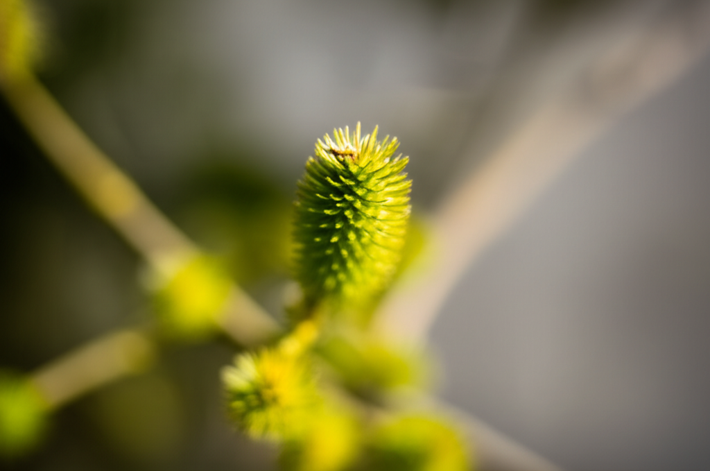 Q1: 부경대 수시에는 수능 최저학력기준이 없나요?