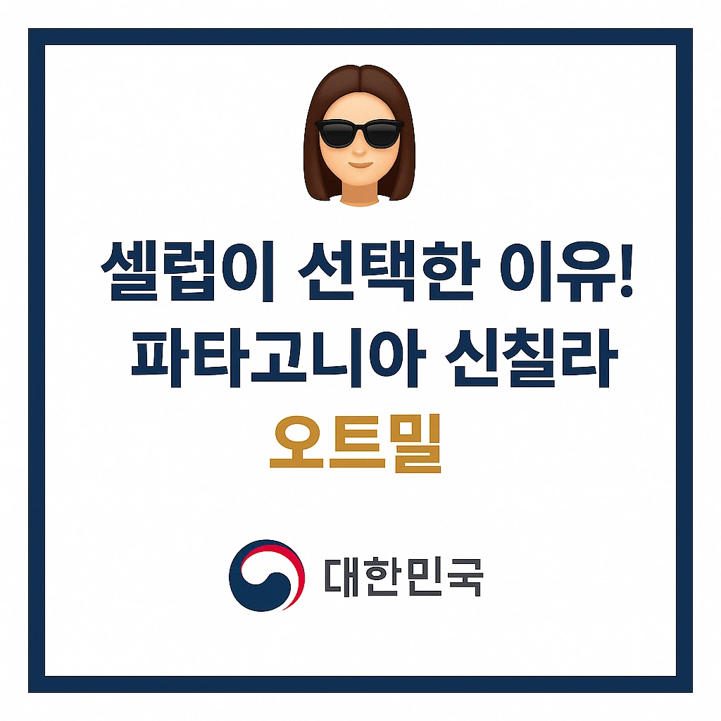 파타고니아 신칠라 오트밀