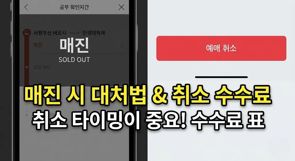 명절 서울 고속버스 표 못 구할 때 해결 방법