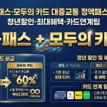 K-패스·모두의 카드