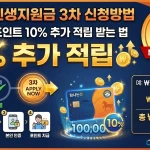 제주도 민생지원금