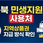 충북 민생지원금 신청방법