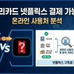 문화누리카드 넷플릭스 결제