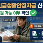 소상공인 정책자금 직접대출