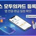 K패스 모두의카드