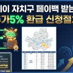 서울페이 자치구 페이백 받는 방법