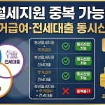 2026 청년월세지원 중복