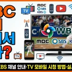WBC 중계