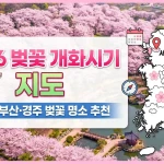 벚꽃 개화시기 지도