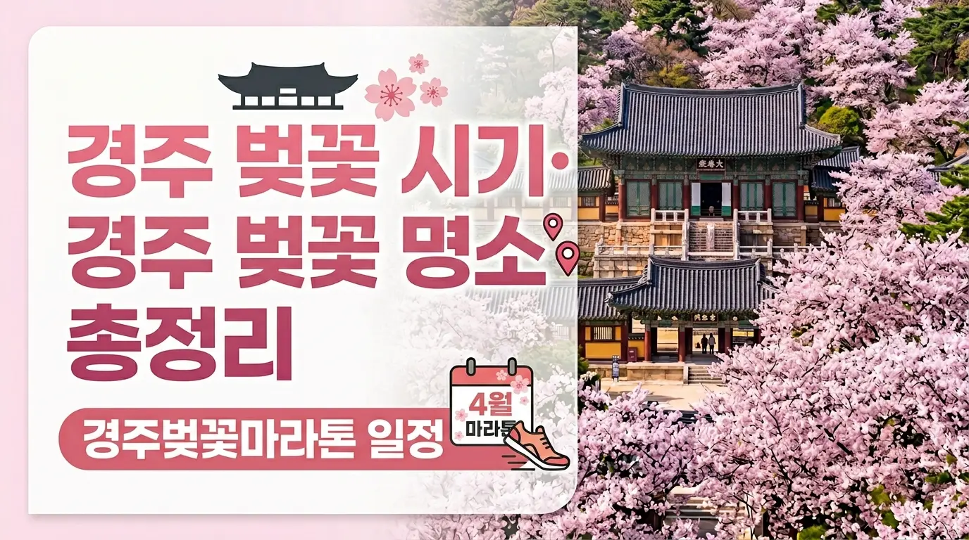 경주 벚꽃 시기