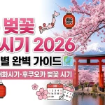 일본 벚꽃 개화시기