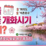 서울 벚꽃 개화시기 언제